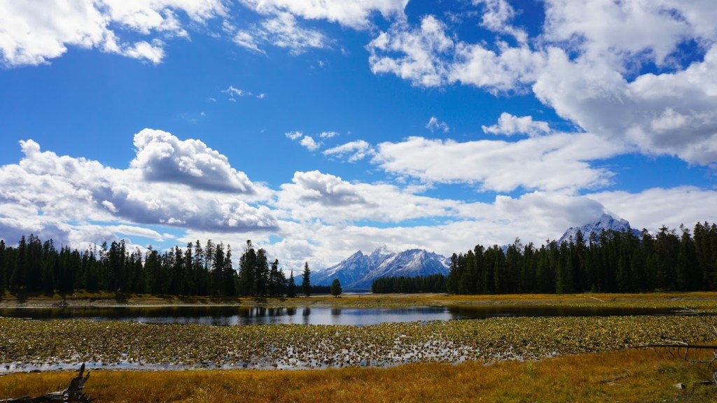 The Ultimate 5-Day Grand Teton, Jackson Hole, & Yellowstone Itinerary (And the Mistakes to&nbsp;Avoid)