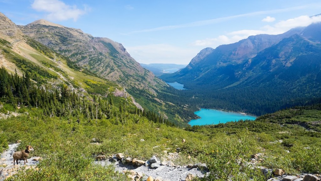 The Ultimate Group Guide to Glacier National Park: Many Glacier & The Highline Trail (Part&nbsp;2)